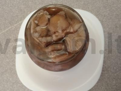 Marinuoti pievagrybiai žiemai Žingsnis 6