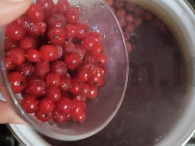 Sočiųjų vyšnių ir raudonųjų serbentų kompotas su citrina Žingsnis 2