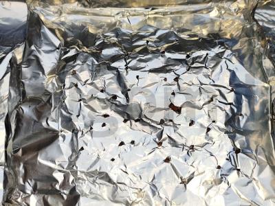 Karštai rūkyta vištiena Žingsnis 4