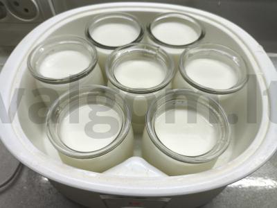 Juodųjų serbentų jogurtas Žingsnis 4