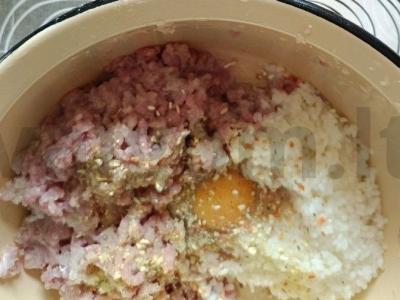 Namų kopūstai su kalakutiena Žingsnis 5