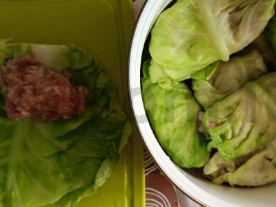 Namų kopūstai su kalakutiena Žingsnis 6