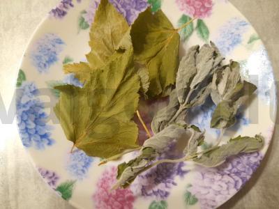 Kvapnus gėrimas iš baziliko su serbentų lapais ir mėta Žingsnis 1