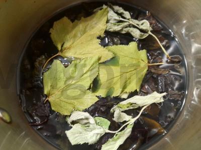 Kvapnus gėrimas iš baziliko su serbentų lapais ir mėta Žingsnis 4