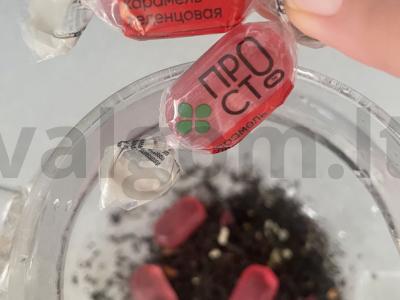 Arbata su uogomis ir melisa Žingsnis 2