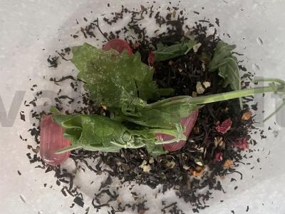 Arbata su uogomis ir melisa Žingsnis 3