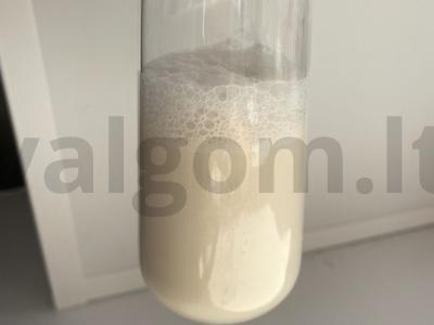 Pieninis kokteilis su cinamonu ir kriaušėmis pagrindine nuotrauka