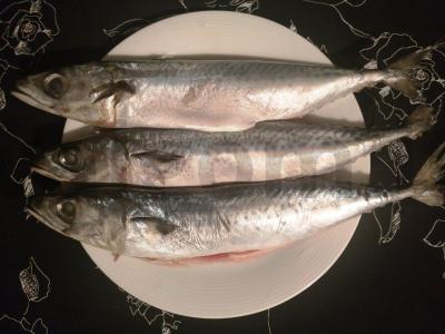 Karštai rūkyta skumbrė namuose Žingsnis 1