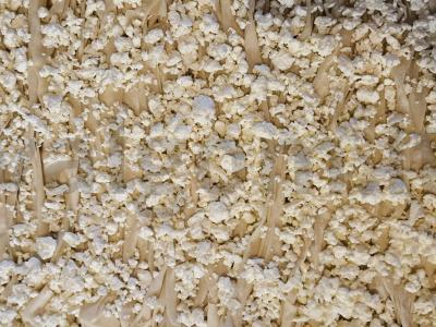 Filo tešlos banica su mocarela Žingsnis 3