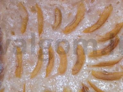 Abrikosų pyragas su džemu pagrindine nuotrauka