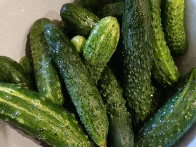 Krisčiai sūdyti agurkai Žingsnis 1