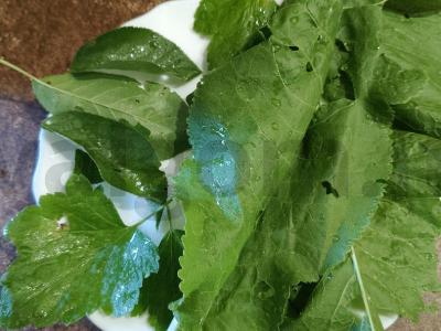 Krisčiai sūdyti agurkai Žingsnis 2