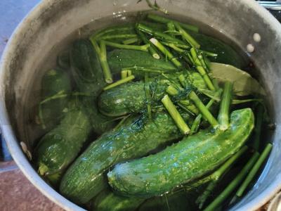 Krisčiai sūdyti agurkai Žingsnis 8