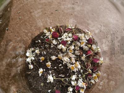 Raminantis arbata su ramunėlėmis ir rožių žiedlapiais Žingsnis 3