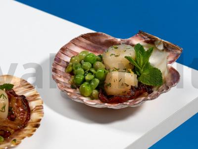 Džiovinti jūros kriauklės su citrinos žirneliais pagrindine nuotrauka