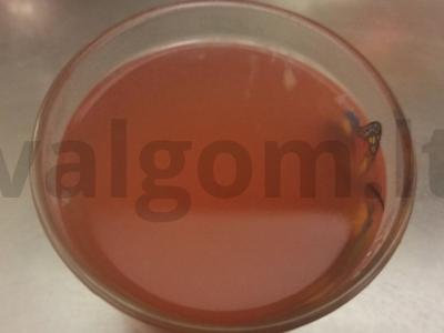 Gaivus gėrimas su aviečių džemu pagrindine nuotrauka