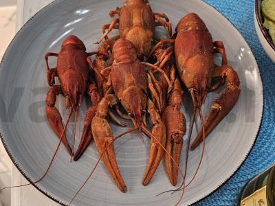 Skaniausi virti vėžiai pagrindine nuotrauka