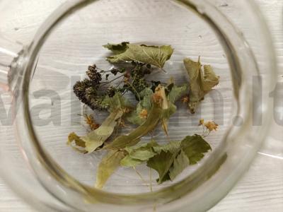 Karštas gėrimas su spanguolėmis Žingsnis 1