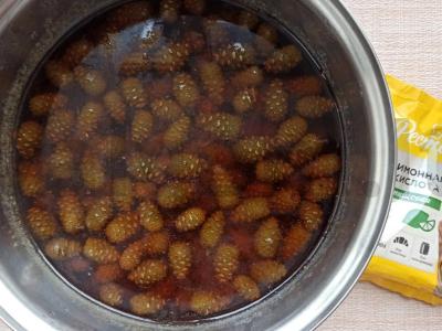 Jaunų pušų kankorėžių cukatai Žingsnis 2