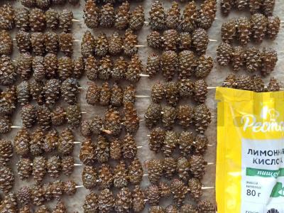 Jaunų pušų kankorėžių cukatai Žingsnis 3