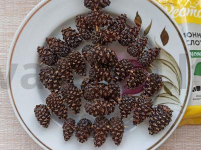 Jaunų pušų kankorėžių cukatai pagrindine nuotrauka