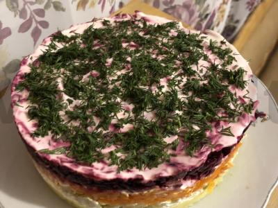 Salotos su žaliais pomidorais Žingsnis 9