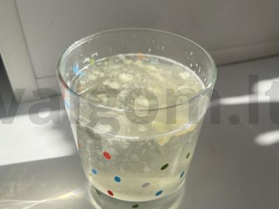 Obuolių gėrimas su ramunėlėmis pagrindine nuotrauka