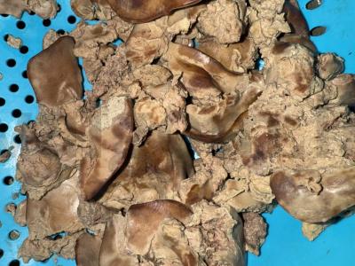 Vištienos kepenėlių paštetas su morkomis ir svogūnais Žingsnis 1