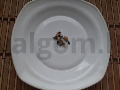 Kalnų pelenų ir džiovintų obuolių kompotas su kardamonu Žingsnis 1