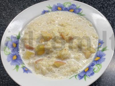 Pšenių košė su pienu ir nektarinu pagrindine nuotrauka