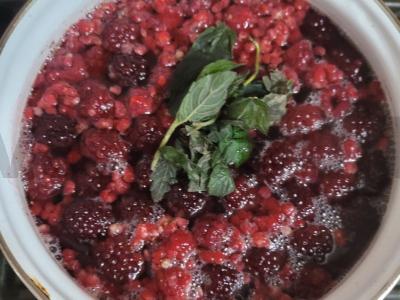 Kvapnus kompotas su gervuogėmis, avietėmis ir mėtomis Žingsnis 4