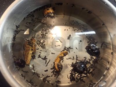 Arbatos gėrimas su džiovintais obuoliais, erškėtuogėmis ir barbaru Žingsnis 2