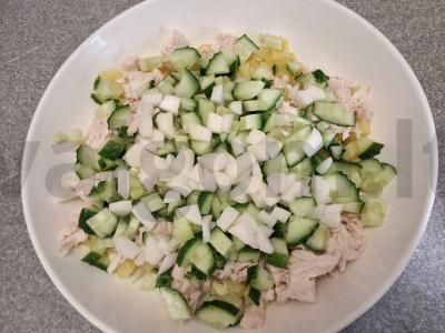 Okroška su kalakutienos filė ir daikonu beržo sultyse Žingsnis 5