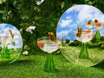 Agurkų „Margarita“ pagrindine nuotrauka