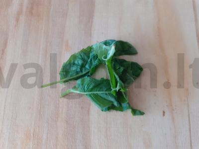 Apelsinų gazuotas vanduo su mėtomis ir cinamonu Žingsnis 3