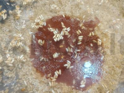 Tom Yum su jūros dumbliais ir grybais Žingsnis 3