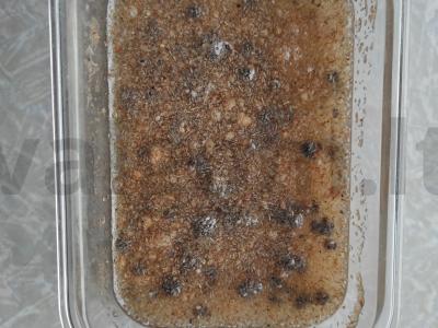 Čia supermaistas Žingsnis 2