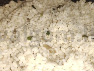 Risotto su jūros gėrybių kokteiliu Žingsnis 3