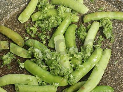 Kalakutų kotletai su sūriu Žingsnis 15