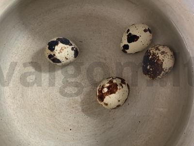 Salotas su putpelių kiaušiniais, agurkais ir bulvėmis Žingsnis 1