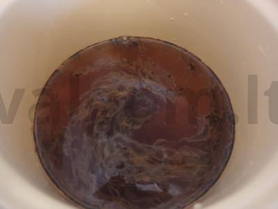 Kavos gėrimas su vaniliniu ledais Žingsnis 1