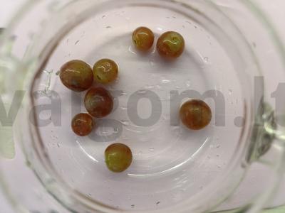 Gėrimas su vynuogėmis, laimu ir citrina Žingsnis 1