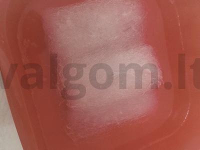 Funchosa su daržovėmis ir česnaku Žingsnis 3