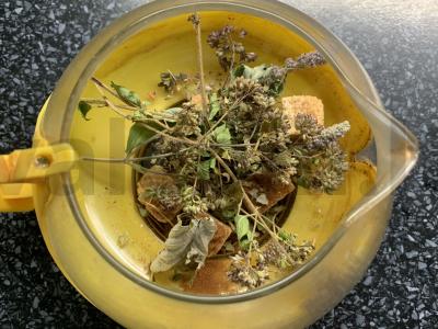 Šaltalankių arbata su čiobreliais, mėtomis ir cukrumi Žingsnis 2