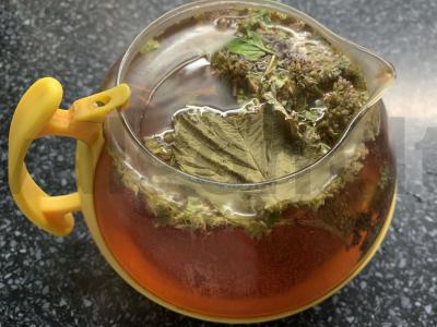 Šaltalankių arbata su čiobreliais, mėtomis ir cukrumi Žingsnis 3