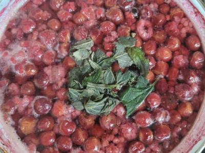 Kvapnus aviečių ir vyšnių kompotas su citrinžole Žingsnis 4