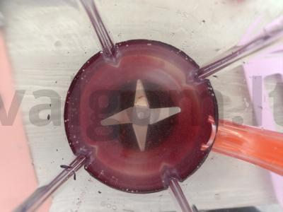 Mojitas su uogiene Žingsnis 2