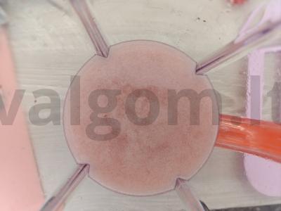 Mojitas su uogiene Žingsnis 3