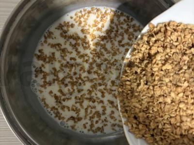 Grikių dribsniai su pienu, vaisių tyrė ir vynuogėmis Žingsnis 2