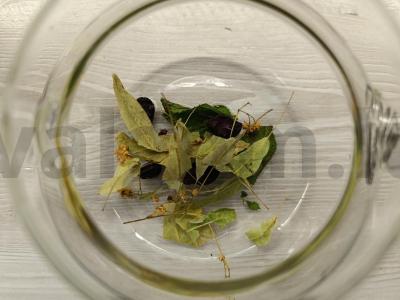 Gėrimas su avietėmis ir žolelėmis Žingsnis 1